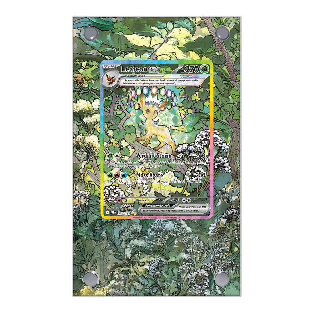 Pokemon Cards Display PTCG Lea - Display Case Acrylic บทวิจารณ์และราคา
