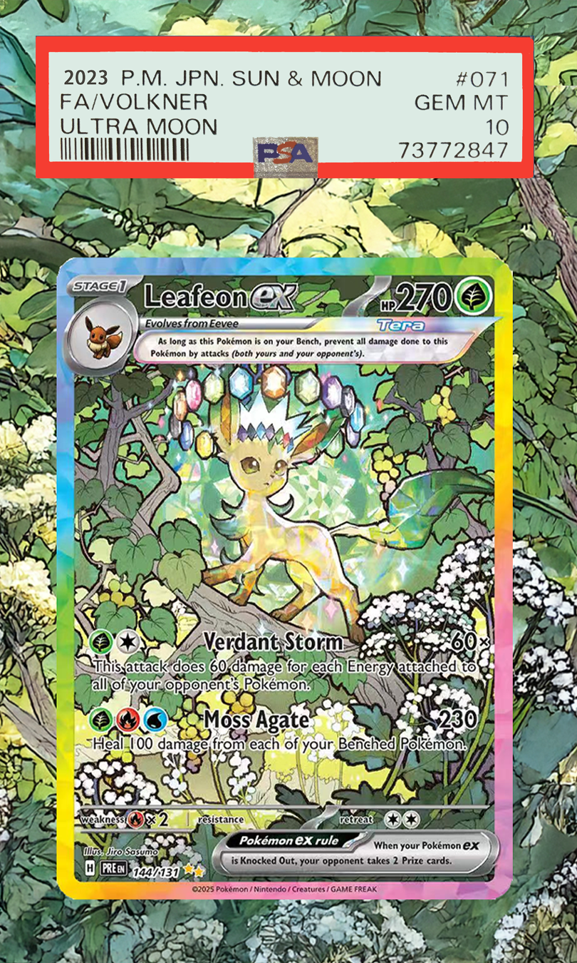 Pokemon Cards Display PTCG Lea - Display Case Acrylic บทวิจารณ์และราคา