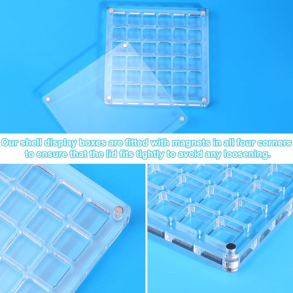 Clear Acrylic Magnetic Seashel - Display Case Acrylic บทวิจารณ์และราคา